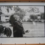 41Ed_Templeton