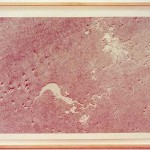 9Daniel_Zeller