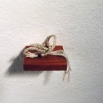 Forrest_Erin1