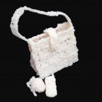 accessoRICE_1