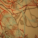 adriane2detail