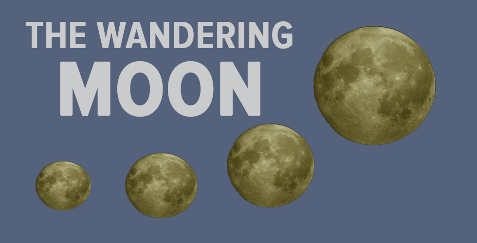 Hunter’s Moon at Tenderloin National Forest Luggage Store Gallery